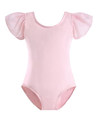Stelle Girls Toddler Leotard for Ballet Dance Leotards Gymnastics Ruffle Short Sleeve Outfits (Ballet Pink, 7 Years)