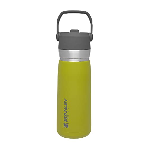 Stanley IceFlow Flip Straw 2.0 Water Bottle 16 OZ | Built-In Straw with Larger Opening | Lightweight & Leak-Resistant | Insulated Stainless Steel | BPA-Free | Tigerlily Plum