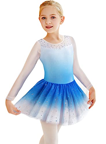 Long Sleeve Dance Leotards for Toddler Girls 2t 3t Kid Gymnastics Ballet Tutu Dance Dress Blue White Tulle Gymnastic Skirt(Baby Girls/Toddler Girls/Big Girls) (Blue Long Sleeve, 2-3T)