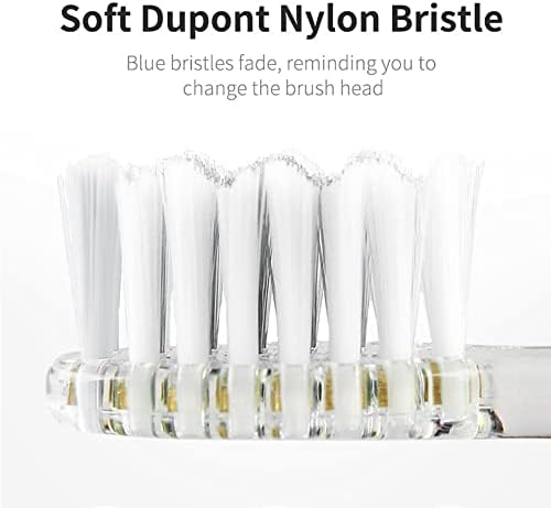 SEAGO Toothbrush Replacement Heads - SG977 SG513 - SEAGO Kids Toothbrushes Heads for Toddlers - Compatible with seago Electric Toothbrushes Kids (White, 8-Pack)