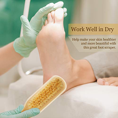 3 Pieces Foot File Rasp Callus Remover Pumice Stone Rasp Brush Double Sided Foot Scrubber Exfoliator with Pumice Stone and Bristle Brush Foot Scraper Pedicure Tools for Dry Dead Skin Foot Care