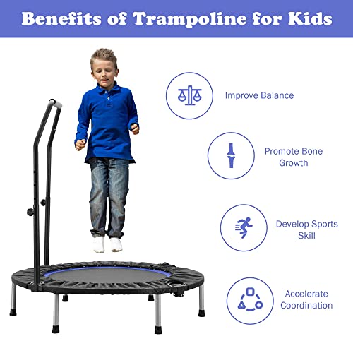 HYD-Parts Rebounder Trampoline for Adults