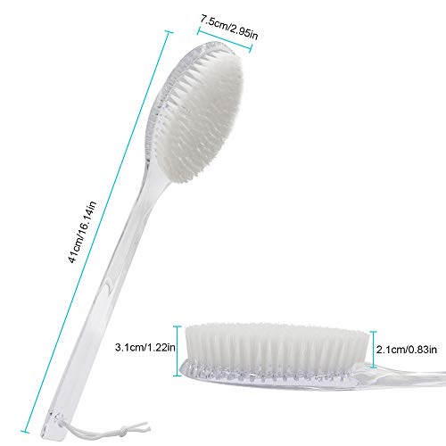 Body Dry Brushing Back Scrubber With Curved Plastic Long Handle - Clear Bath Shower Brush for Dry Skin Exfoliating, Cellulite - for Men and Women (Transparent Handle)