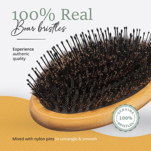 Premium Boar Bristle Hair Brush for Thick Hair Set. Hairbrush for Women With Thick, Long or Curly Hair. Restores Hair's Shine and Health. Comb, Travel Bag & Spa Headband Included