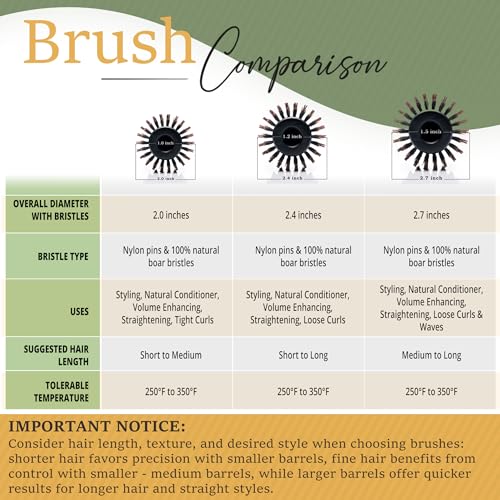 Belula Boar Bristle Round Brush for Blow Drying Set. Round Hair Brush With Large 2.7” Wooden Barrel. Hairbrush Ideal to Add Volume and Body. Free 3 x Hair Clips & Travel Bag.