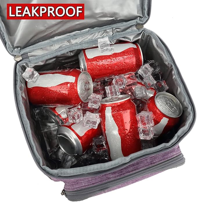 FlowFly Double Layer Cooler Insulated Lunch Bag Adult Lunch Box Large Tote Bag for Men, Women, With Adjustable Strap,Front Pocket and Dual Large Mesh Side Pockets