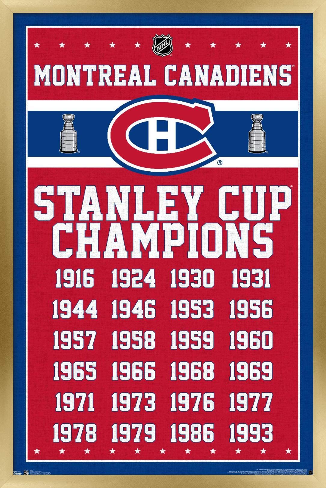 Trends International NHL Montreal Canadiens Champions 13 Wall Poster, 14.725" x 22.375", Gold Framed Version