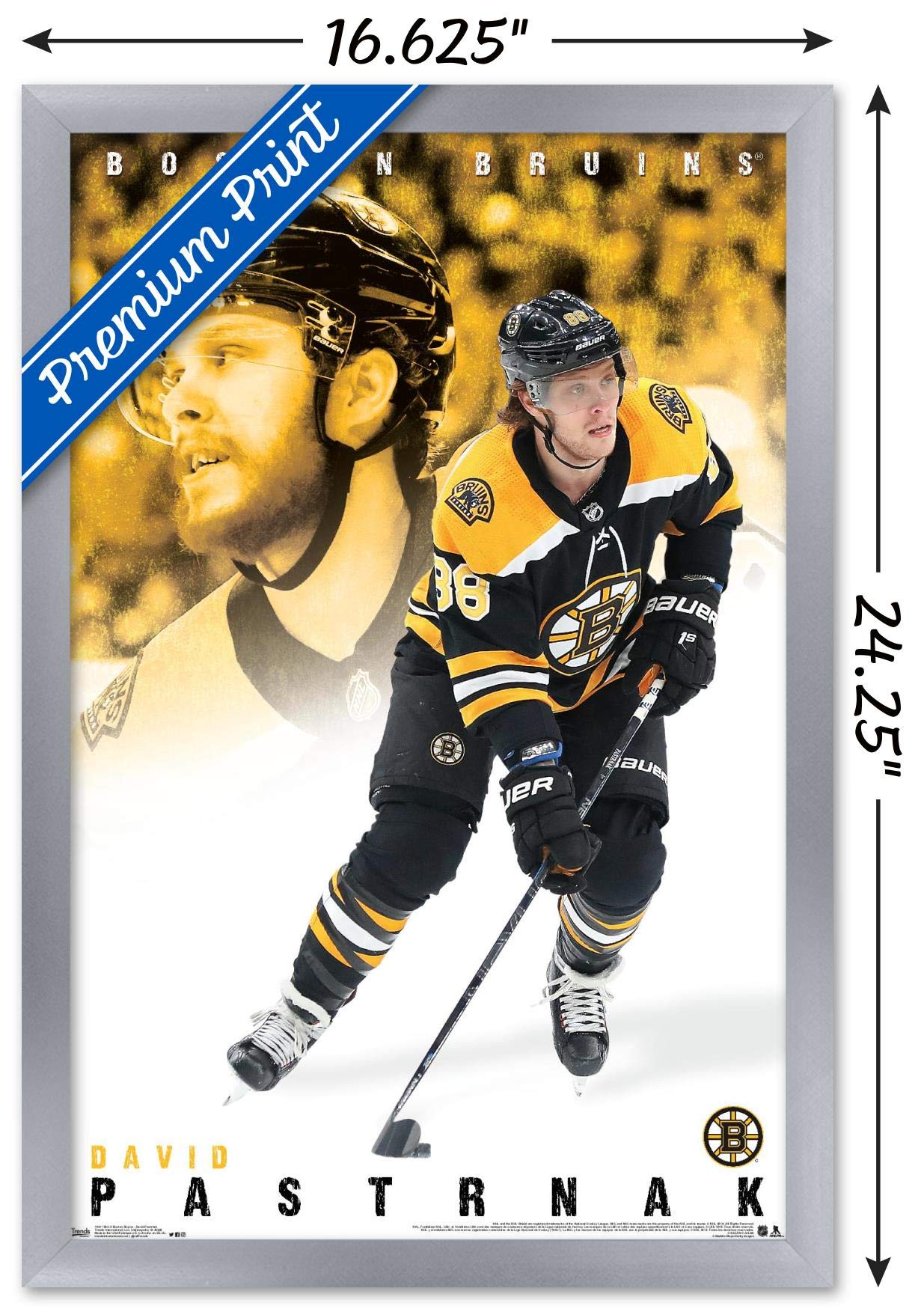Trends International NHL Boston Bruins - David Pastrnák 19 Wall Poster, 14.725" x 22.375", Silver Framed Version