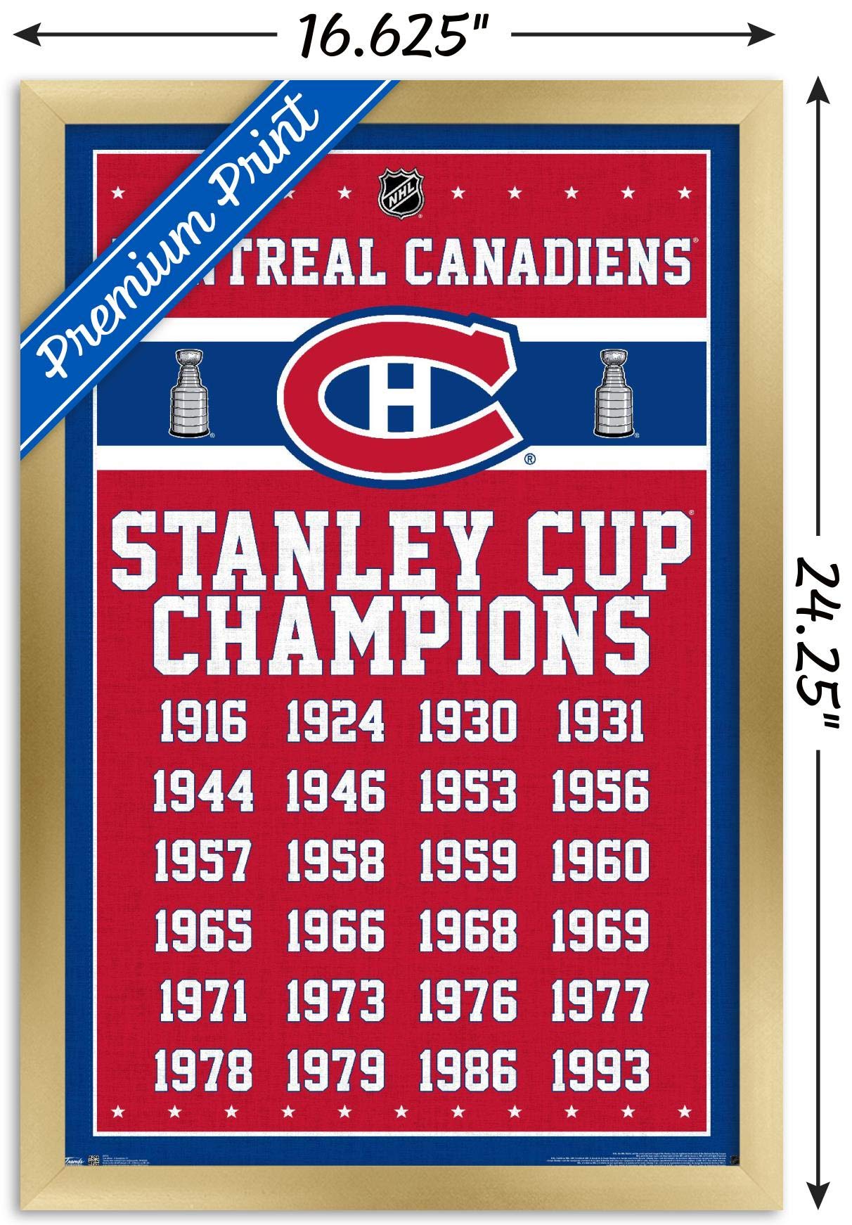 Trends International NHL Montreal Canadiens Champions 13 Wall Poster, 14.725" x 22.375", Gold Framed Version