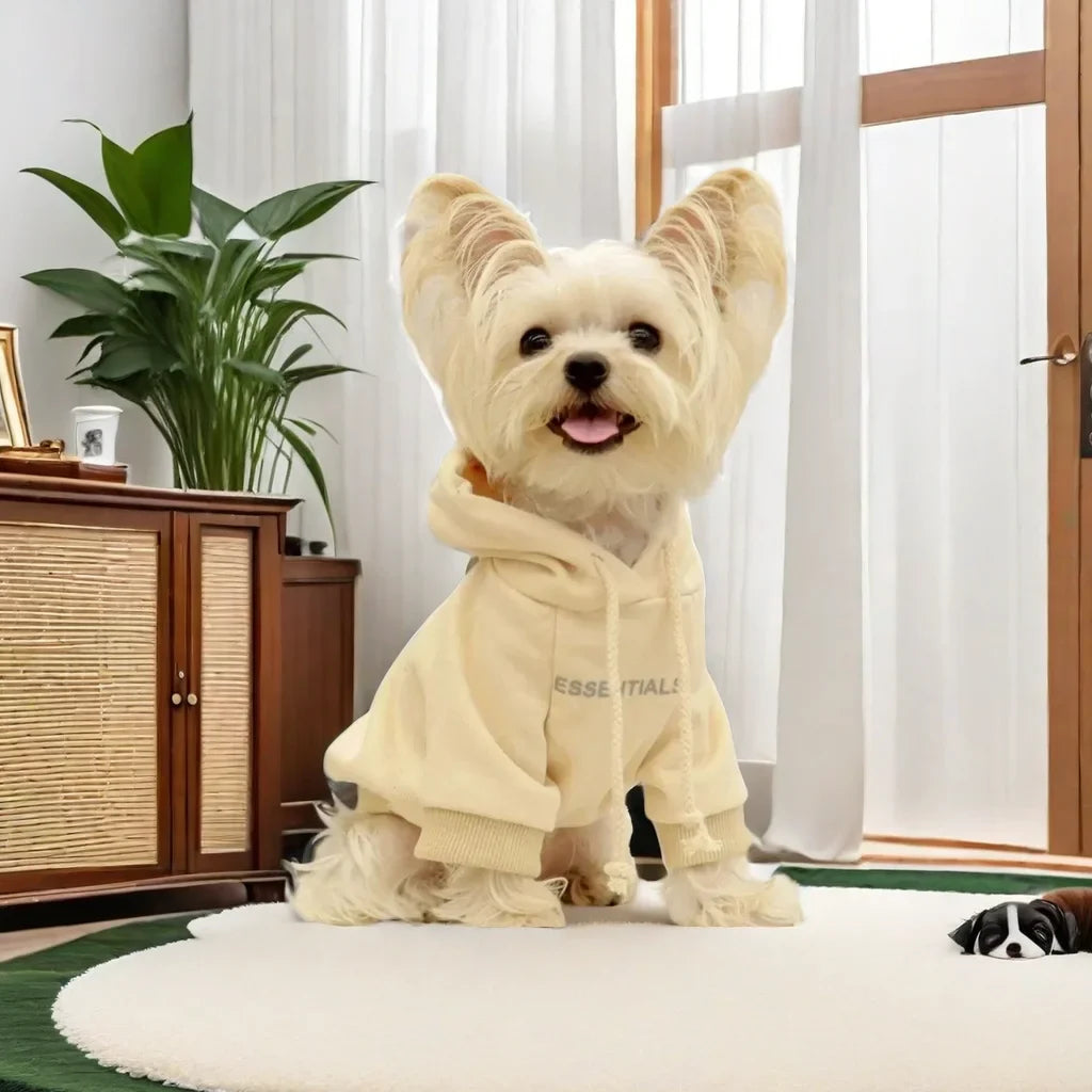 Summer Casual Dog T-Shirt