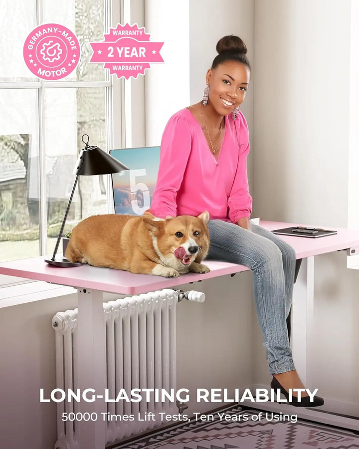 Electric Standing Office Desk Adjustable