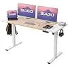 Electric Standing Office Desk Adjustable