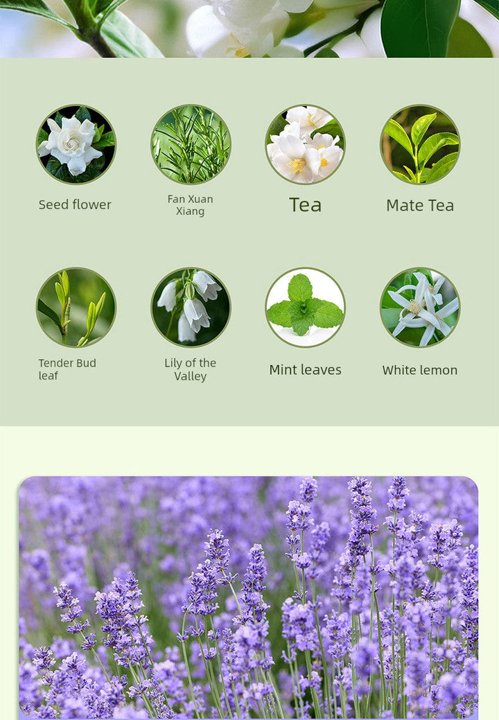 Perfume Machine Automatic Spray Aerosol Dispenser Domestic Aroma Diffuser Fragrance Machine Cachin Aroma Diffuser Ultrasonic Aroma Diffuser Fragrance