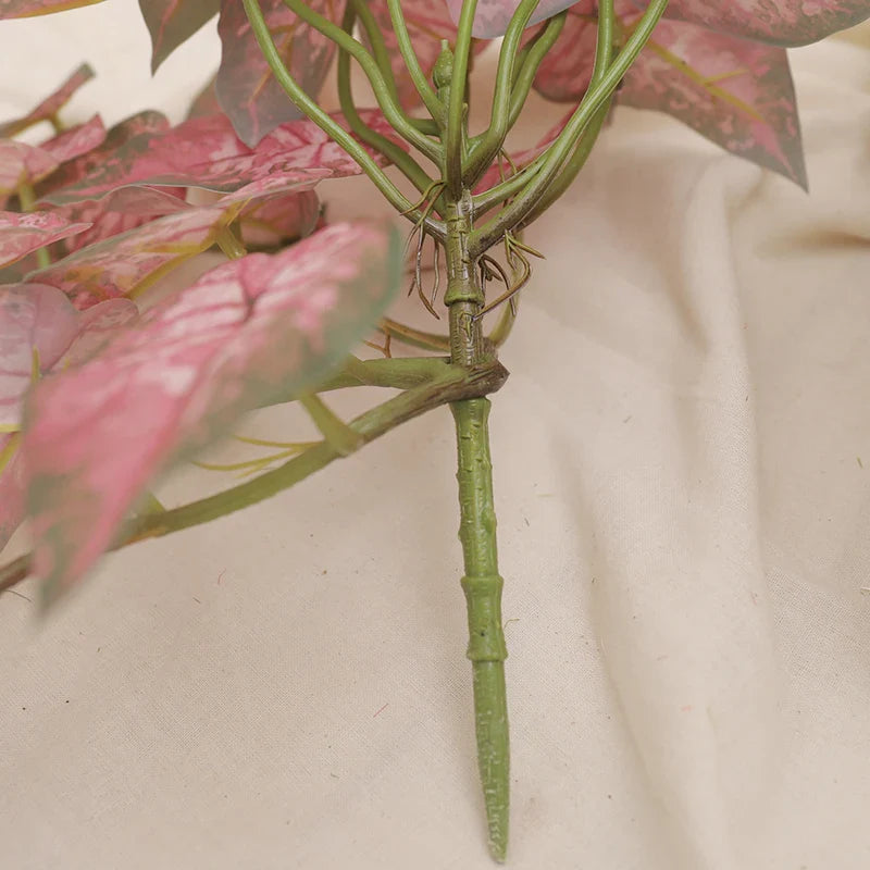 Artificial Turtle Back Leaf Plant Décor