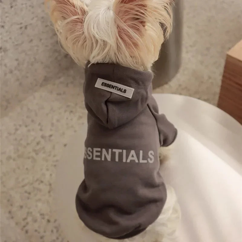 Summer Casual Dog T-Shirt