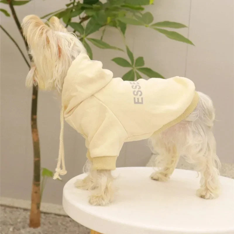 Summer Casual Dog T-Shirt