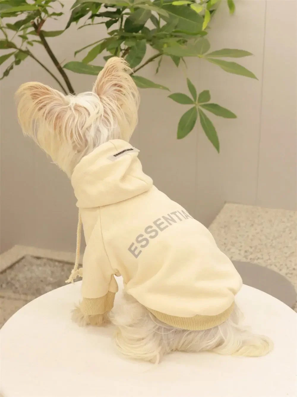 Summer Casual Dog T-Shirt