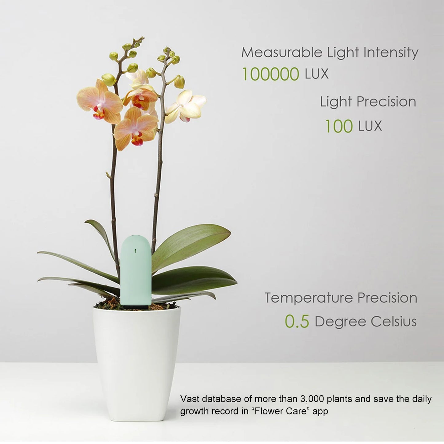 HHCC Flower Monitor Flora Garden Care Plant Grass Soil Water Fertility Smart Tester Sensor Flower Gardening Detector For Xiaomi