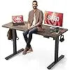 Electric Standing Office Desk Adjustable