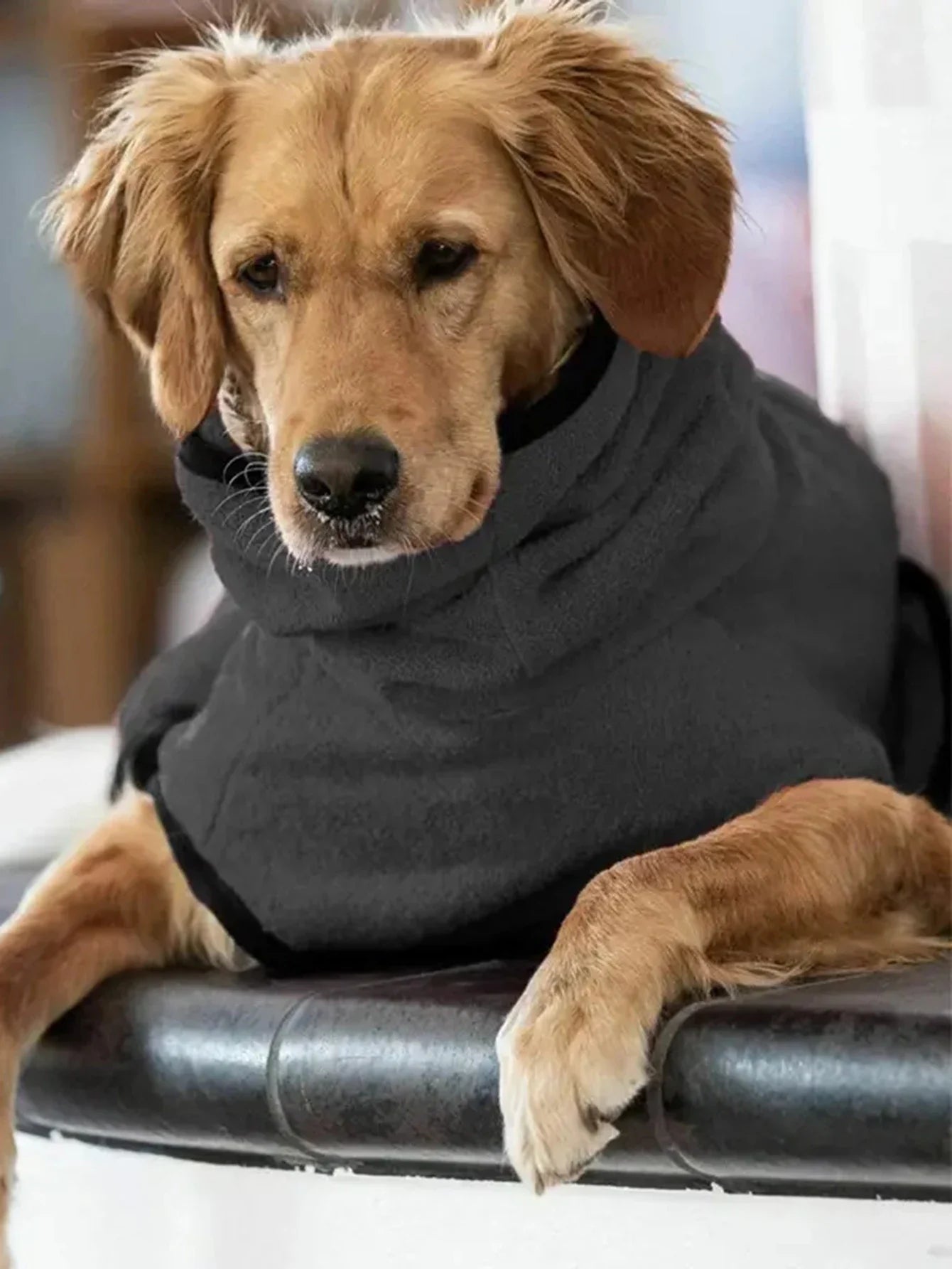 Cozy Fleece Dog Greyhound Jacket