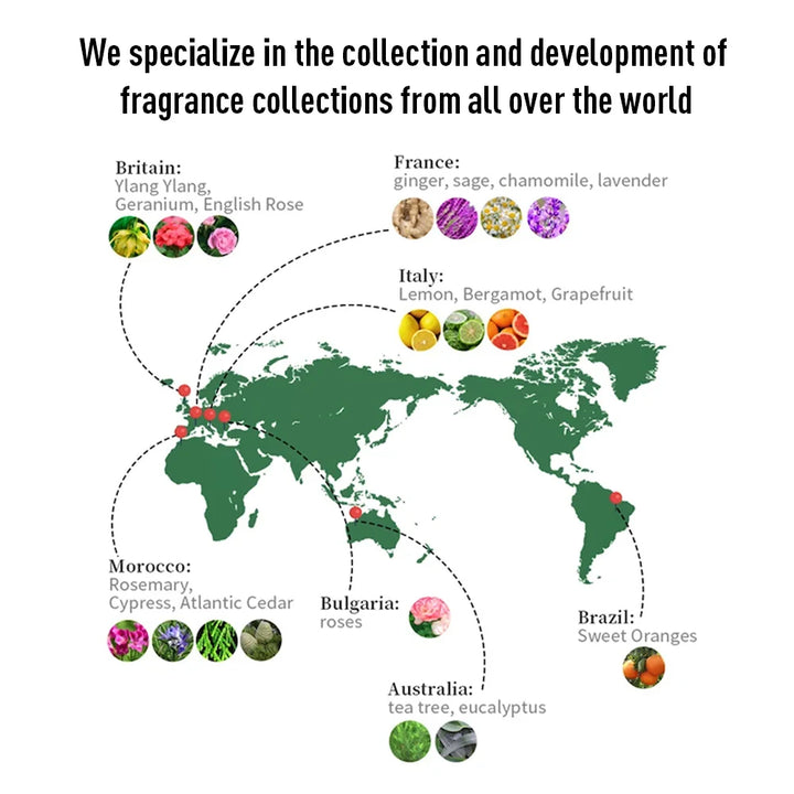 Star 100ml Perfume Essential Oil Hotel aroma Fragrance Oil For Making Perfume Aromatherapy Smell For Home Air Freshener