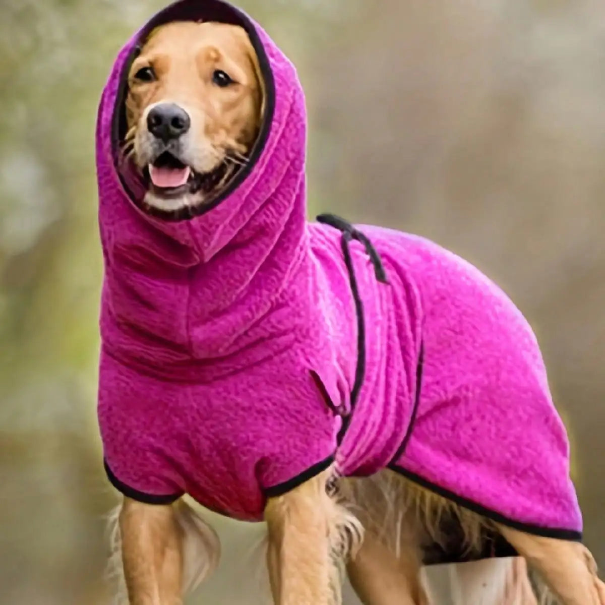 Cozy Fleece Dog Greyhound Jacket