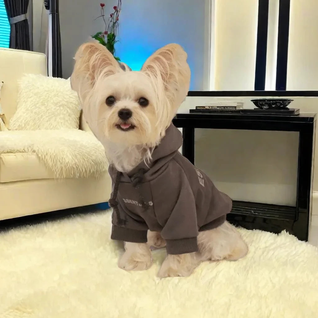 Summer Casual Dog T-Shirt