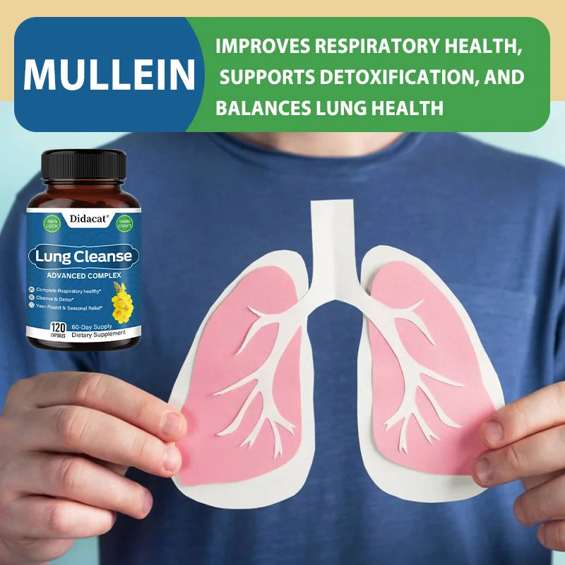 Lung Detox Mullein - with NAC Quercetin & Cordyceps Extract - Sinus Immune & Respiratory Support