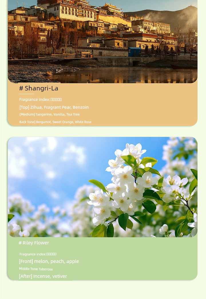 Perfume Machine Automatic Spray Aerosol Dispenser Domestic Aroma Diffuser Fragrance Machine Cachin Aroma Diffuser Ultrasonic Aroma Diffuser Fragrance