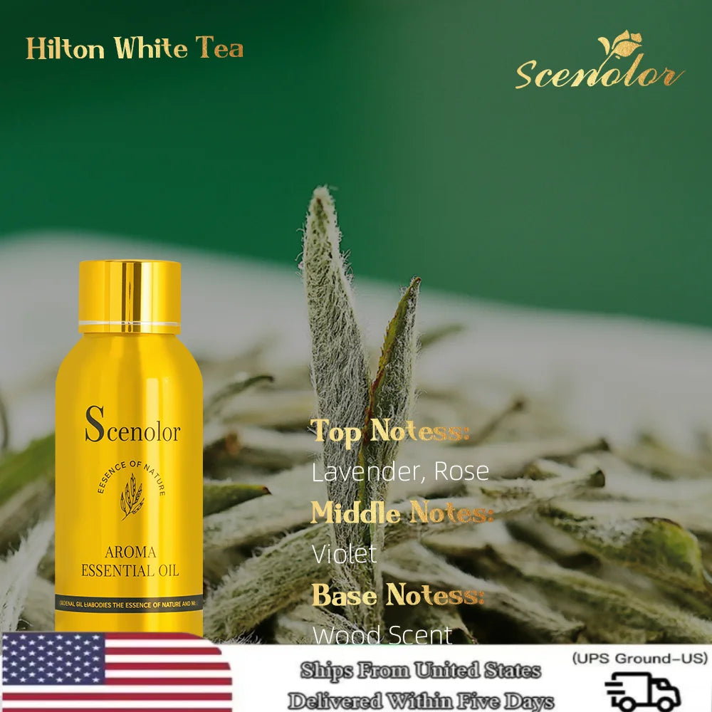 Star 100ml Perfume Essential Oil Hotel aroma Fragrance Oil For Making Perfume Aromatherapy Smell For Home Air Freshener