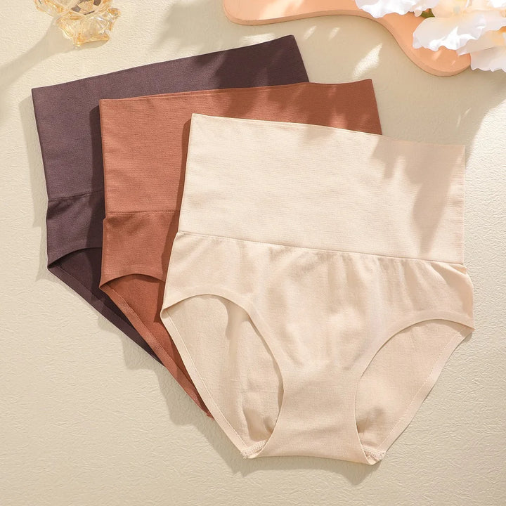 3PCS/Set Women High Waist Shapewear Seamless Slimming Panties Butt Lifter Control Briefs Women Elastic Body Shaper Bodysuit