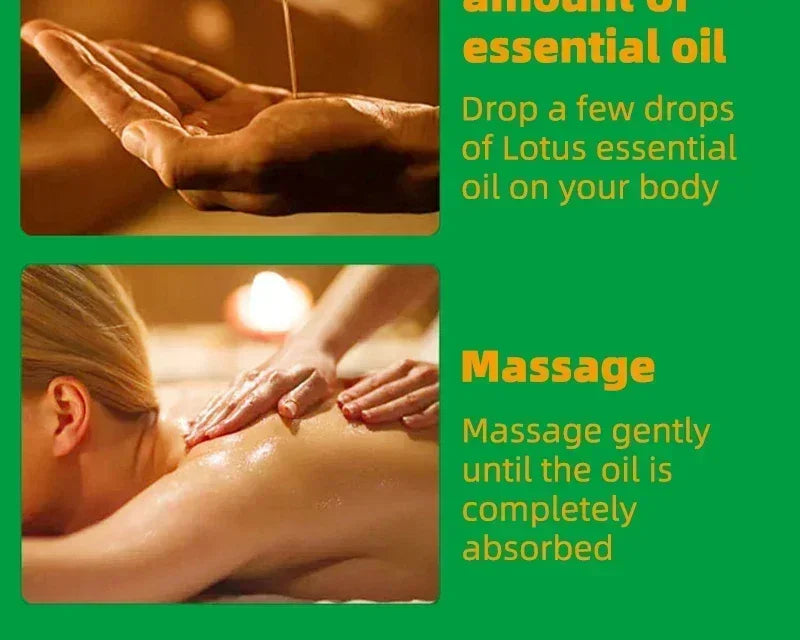 Natural Plant Essential Oils Extracted From The Body for Body Management Restoring and Maintaining Figure