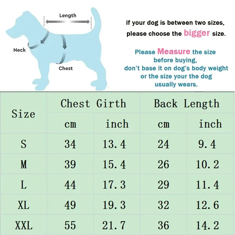 Summer Casual Dog T-Shirt