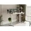 Electric Standing Desk Adjustable Height