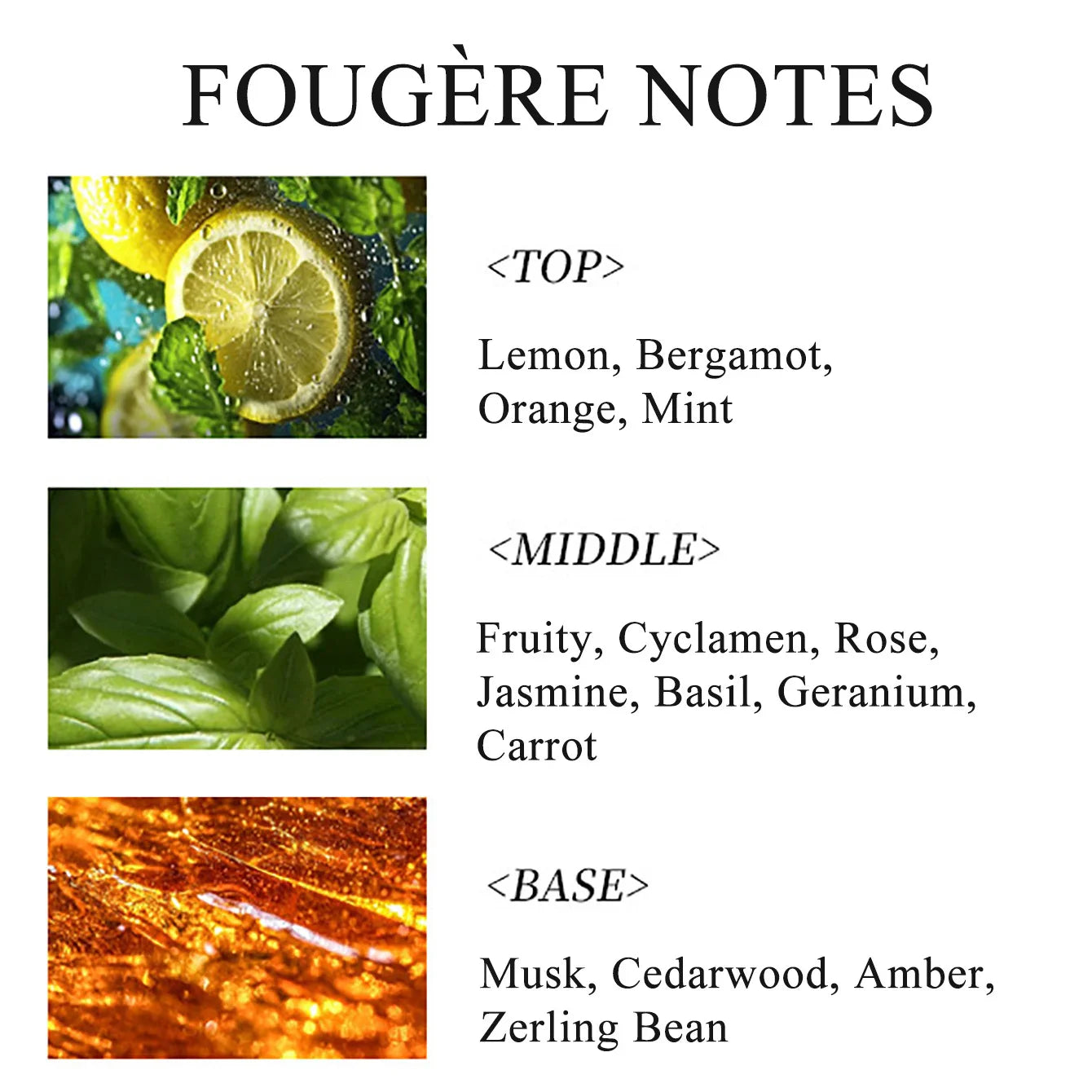 Men's Fougere Perfume โ Fresh & Long-Lasting