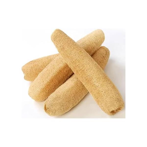 100% Natural Whole Loofah Large, 4-Pack, Organic Sponges, Gentle Exfoliating Body Scrubber, Dish and Shower Luffa, Bath SPA Loofa, 12-14 Inches Long, 30-35cm, Radiant Beauty Skin, Big Sized Whole.