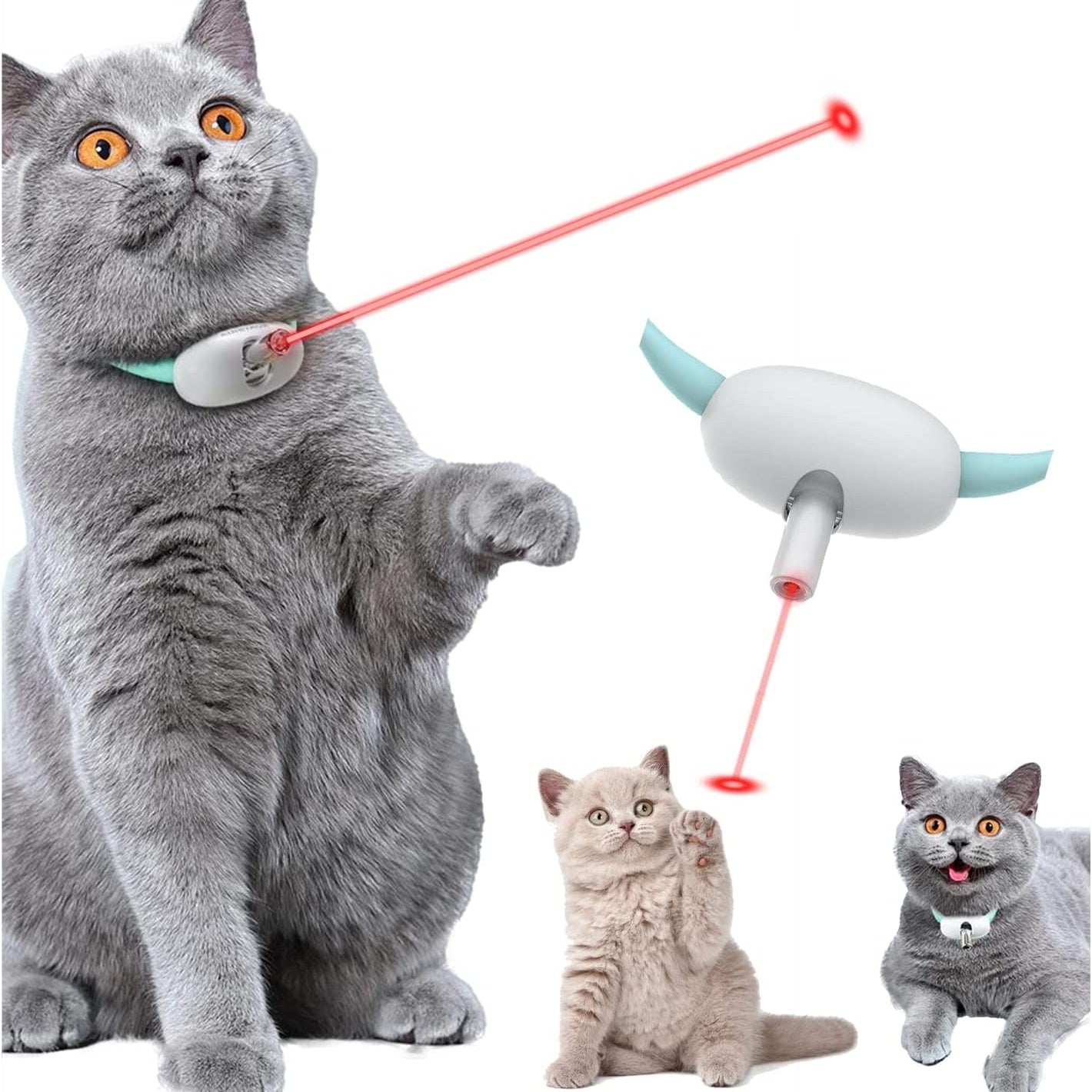 Pets