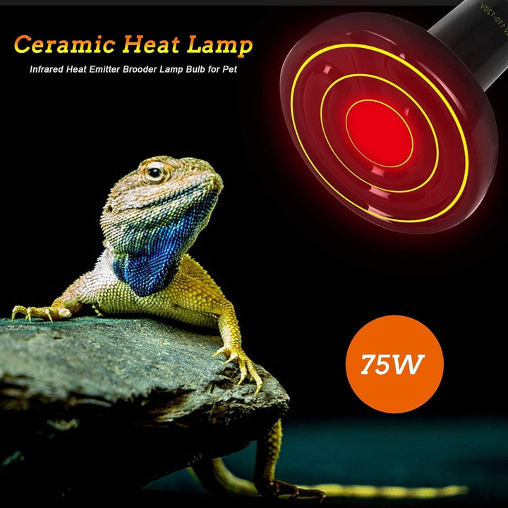 75W Ceramic Heat Lamp, Infrared Reptile Heat Emitter Heater Lamp Bulb for Pet Brooder Coop Chicken Lizard Turtle Snake Aquarium, No Light Emitting No Harm - 2 Pack