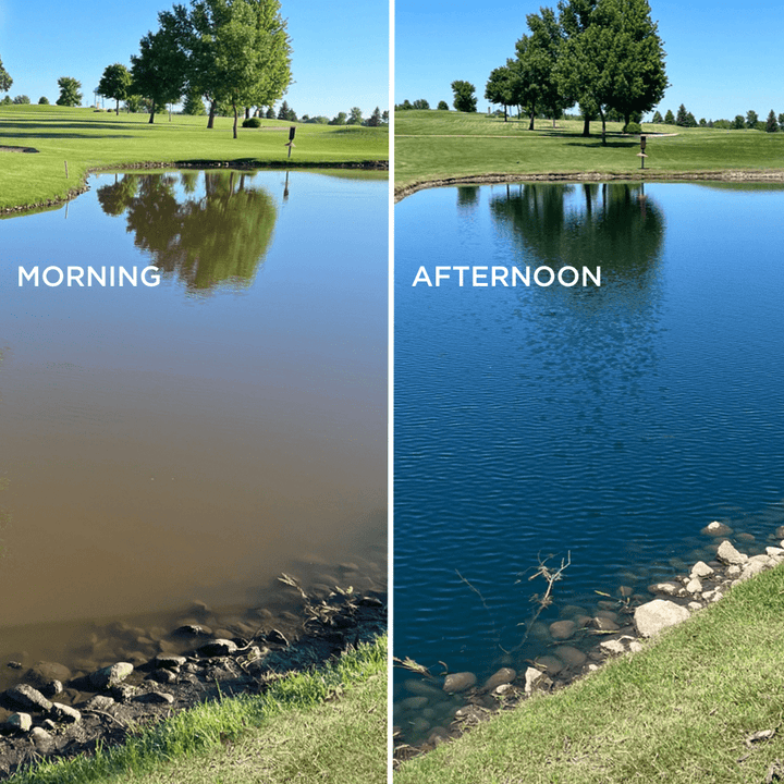 Healthy Ponds Blue Pond Water Dye - 5 Water Soluble 5 oz Bags, Treats up to 2.5 Million Gallons
