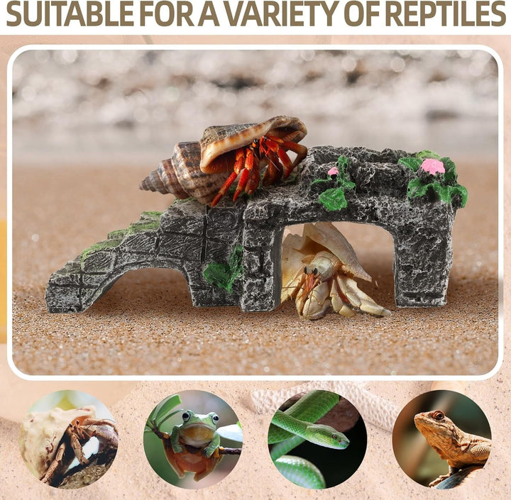 Hermit Crab Climbing Toys with Food Dish,Hermit Crab Water Bowl with Climbing Ramp,Resin Hermit Crabs Hideout,Hermit Crabs Tank Accessories Decor (Grey, 5.11 x2.16 x1.77in)