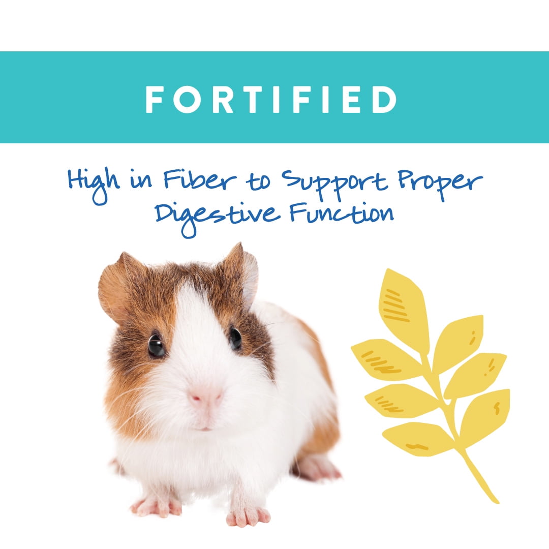 Small World Guinea Pig Complete Feed 9 lbs.