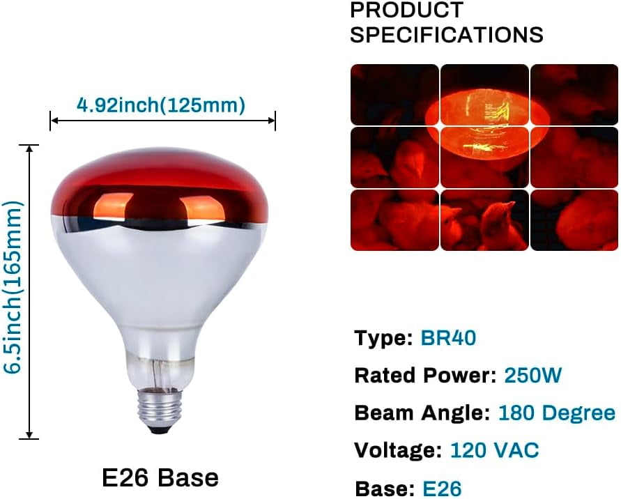 250 Watt Heat Lamp Bulbs for Chicks, R40 Brooder Heat Lamp for Chickens, Infrared Reflector Heat Bulbs for Brooder Heater, Incandescent Spotlight for Pet, Bathroom, Food (2 Pack)
