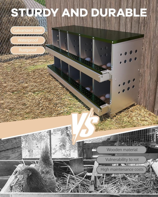 Green Metal Chicken Nesting Box for Laying Eggs, Rustproof Wall-mountable Roll Away Chicken Laying Boxes for Hens, Waterproof, Ventilated with Perch, 10 Compartments