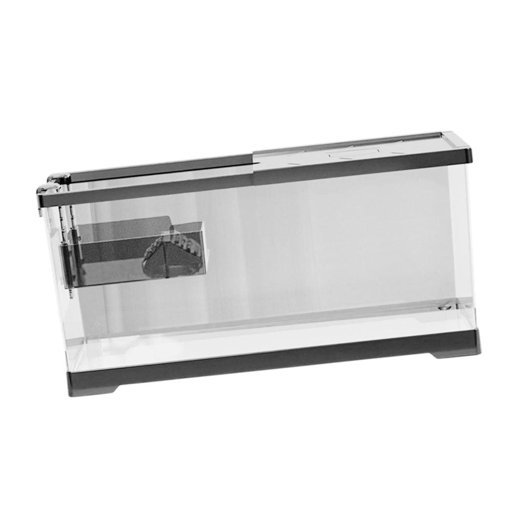 SiaBiced Turtle Tank Aquarium Tortoise Enclosure Starter Kit Hideout Reptile Tank with Basking Aquatic Terrarium for Breeding M w and Lid