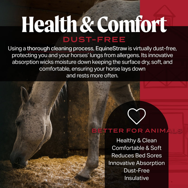 HealthiStraw EquineStraw, 3 cu ft - All-Natural Wheat Straw Bedding for High-Performance Horses, Foaling and Trailers - Horses with Respiratory or Sensitive Skin Issues- Sustainably Sourced - Cleaned