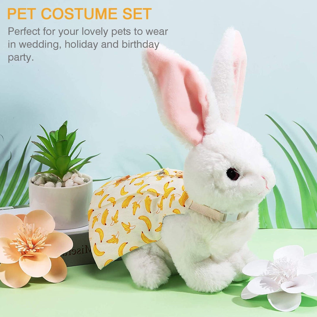 Rabbit Dress Costume Set with Accessories for Small Pets