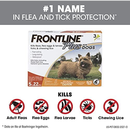 FRONTLINE Plus Flea and Tick Treatment for Dogs (Small Dog, 5-22 Pounds, 6 Doese)