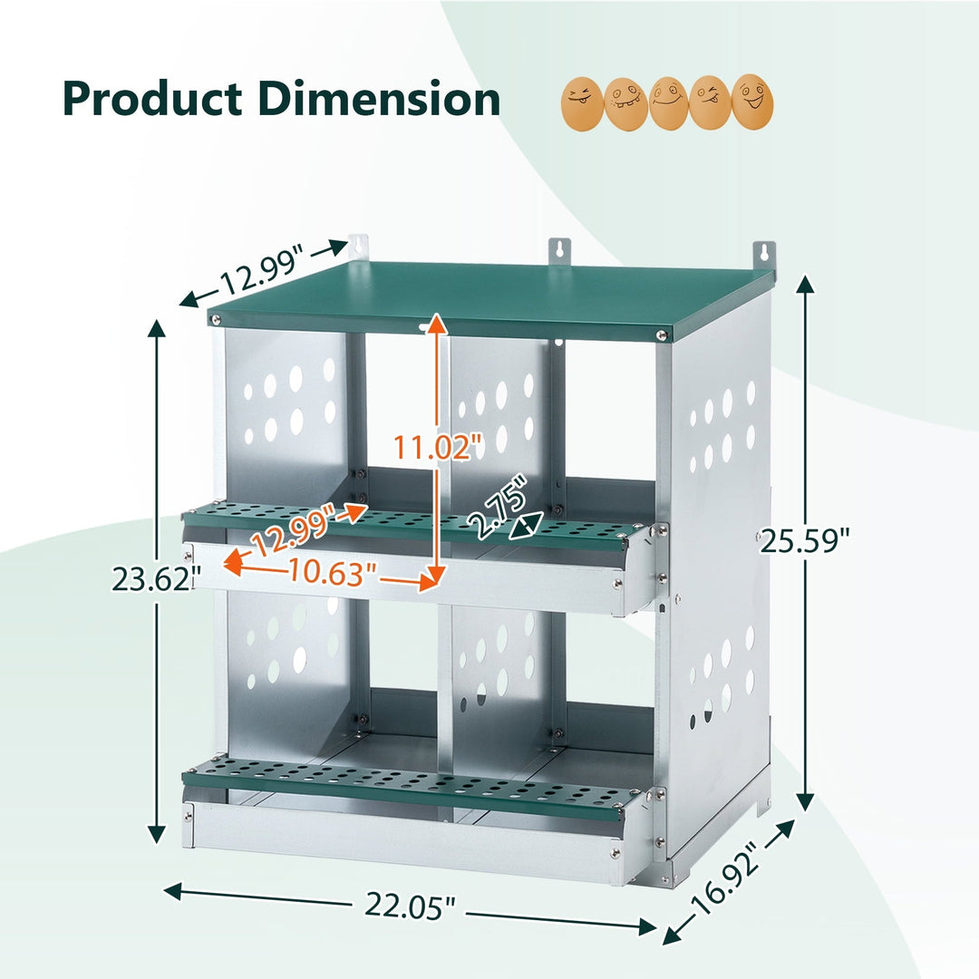 Zephypaws 4 Compartments Wall Mount Chicken Nesting Boxes for Laying Eggs, Hen Nest Box Roll Away Chicken Laying Boxes, Green