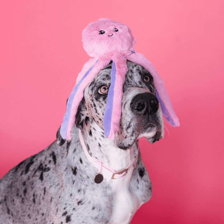 Bundle x Joy Octopus Crinkle Legs Plush for Dogs with Squeaker & Crinkle for Added Joy