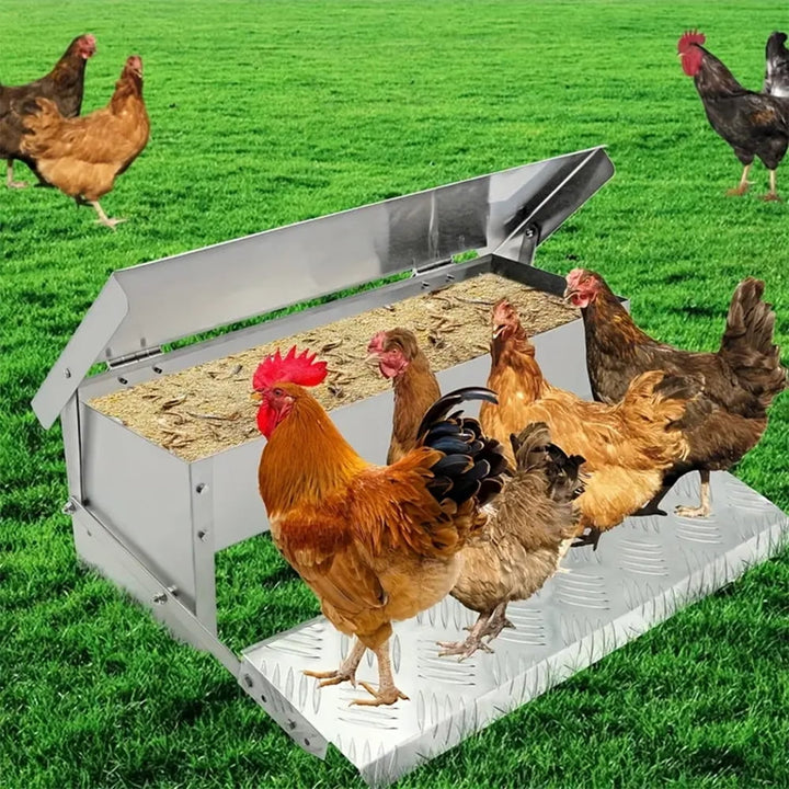 KRKZ 20.1" x 12.6" x 7.5" Silver Automatic Poultry Feeder - Long-Lasting Galvanized Chicken Feeder with Rain Cover - Metal Feeder Kit for Ducks, Bantams & Pheasants